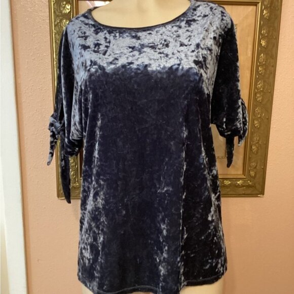 Kim & Cami Blue Velvet Large Blouse - Picture 2 of 10